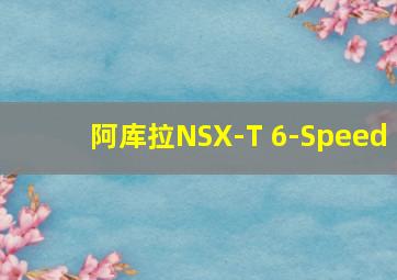 阿库拉NSX-T 6-Speed